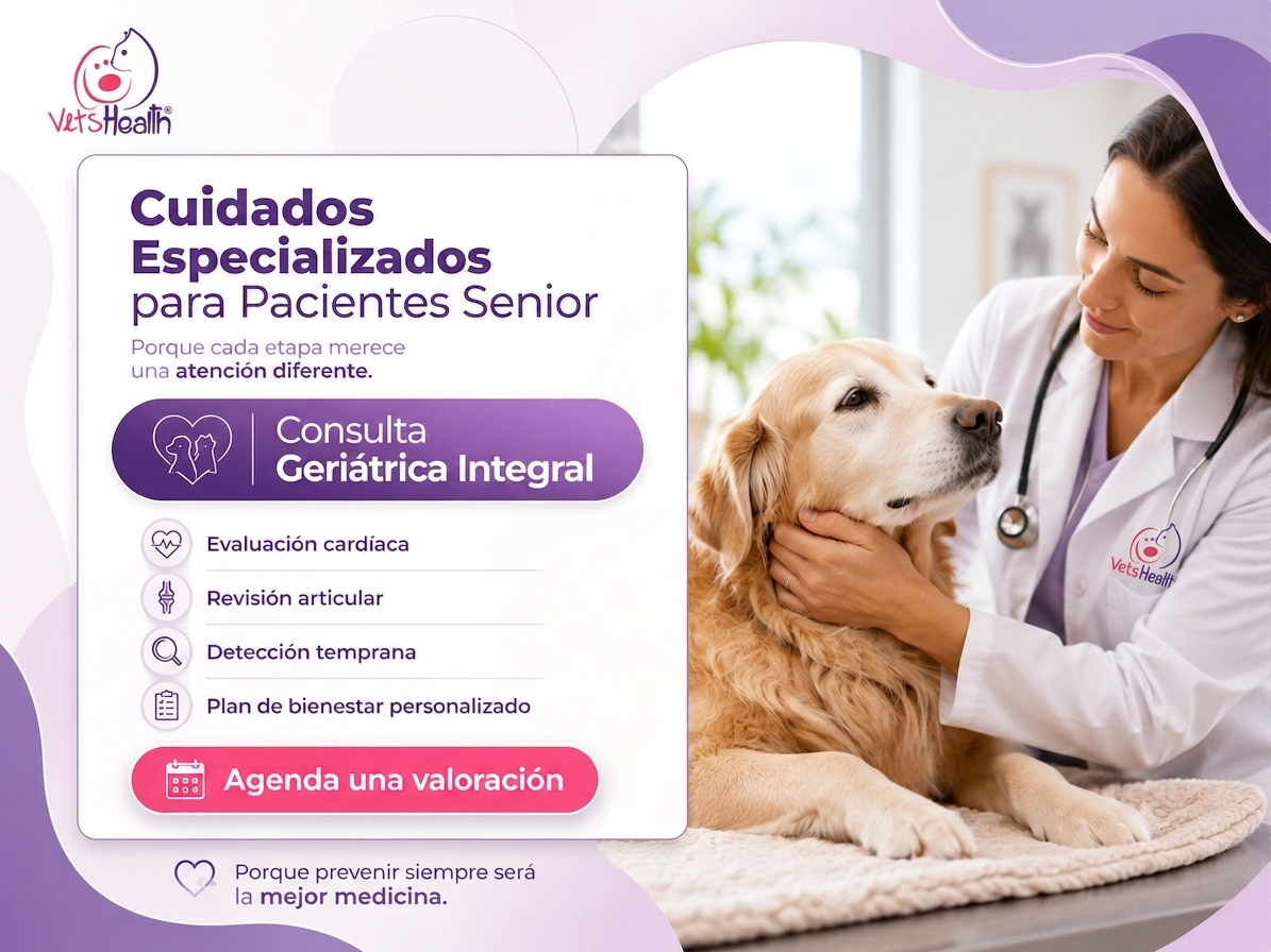 Esquema de Consulta Geriátrica Vets Health