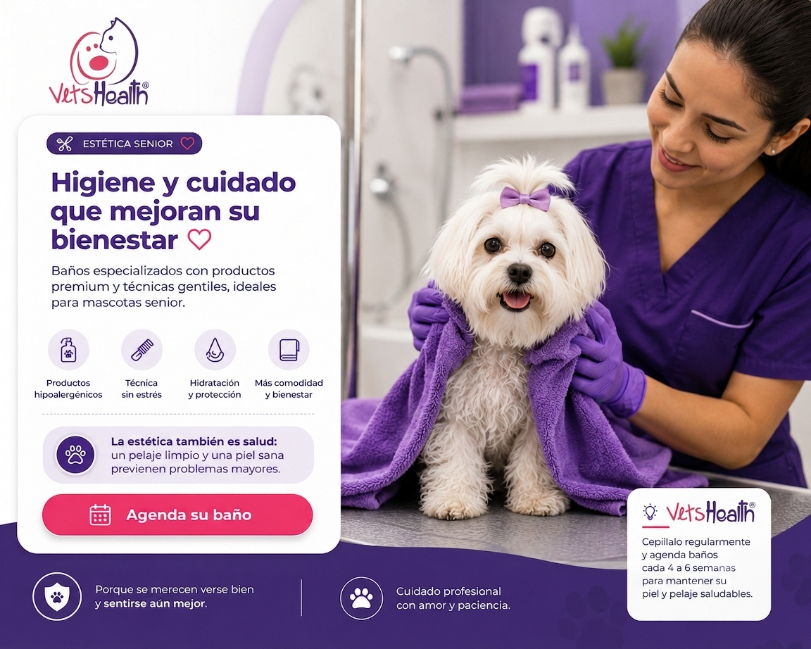 Beneficios de Estética Senior